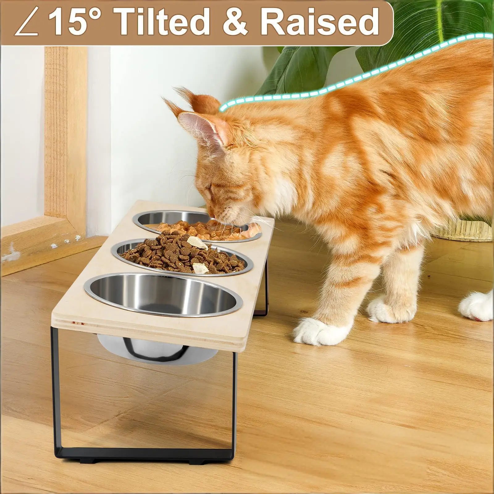 Gamelle surélevée pour chats : Confort et Santé améliorés