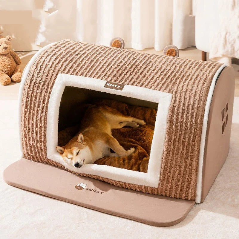 Niche Chien Hiver : Guide Complet Pour Chiens