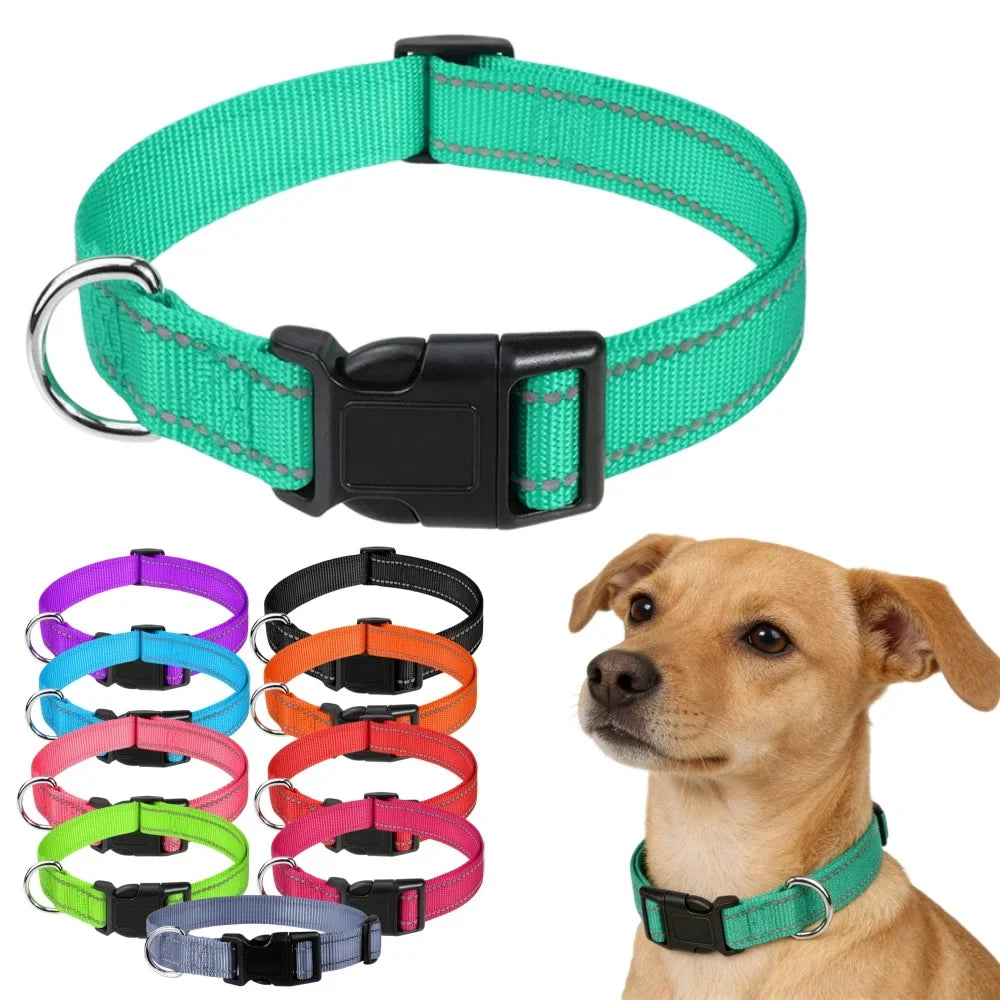 Collier turquoise réfléchissant pour chien sécurisé