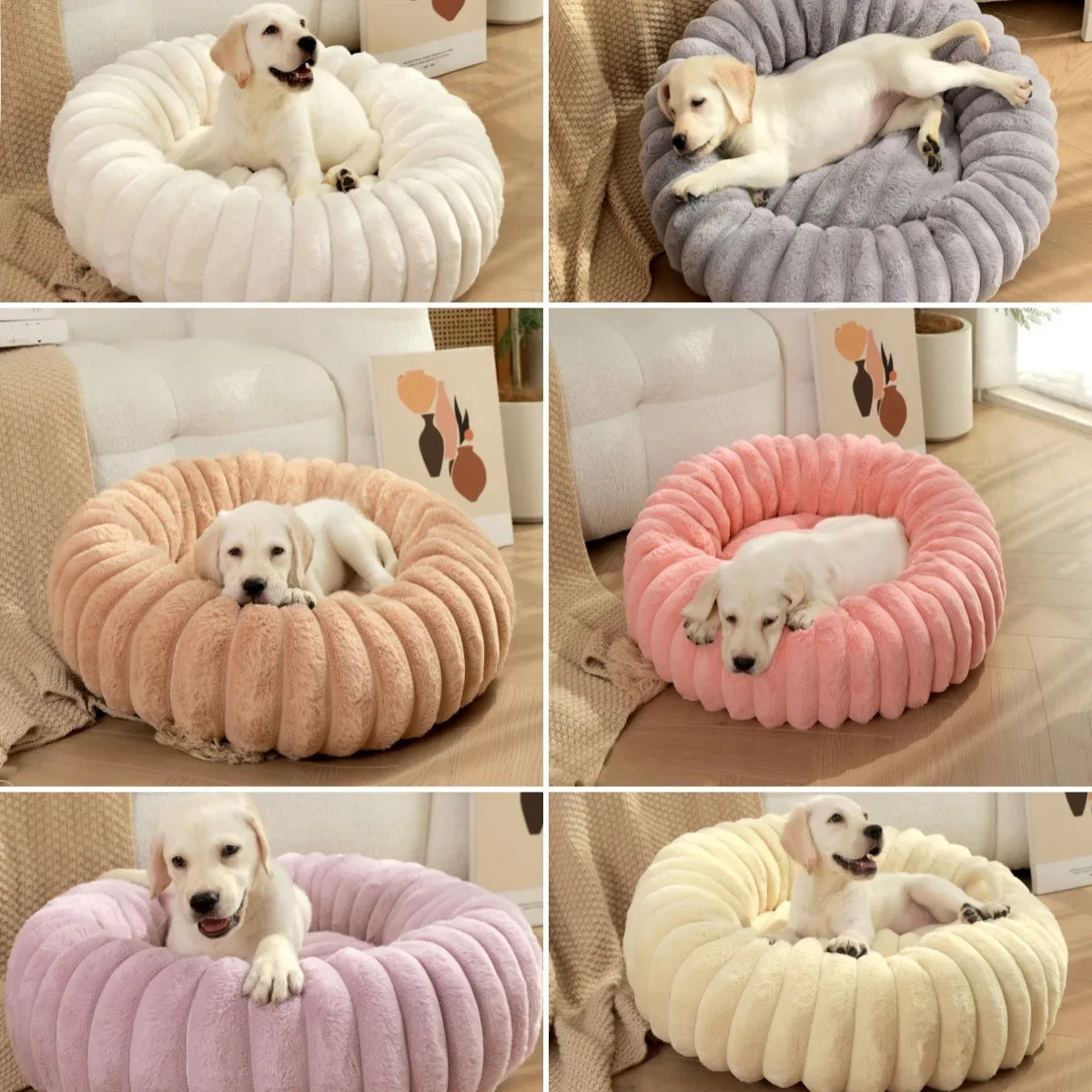 Le Panier Idéal Pour Chiens Et Chats