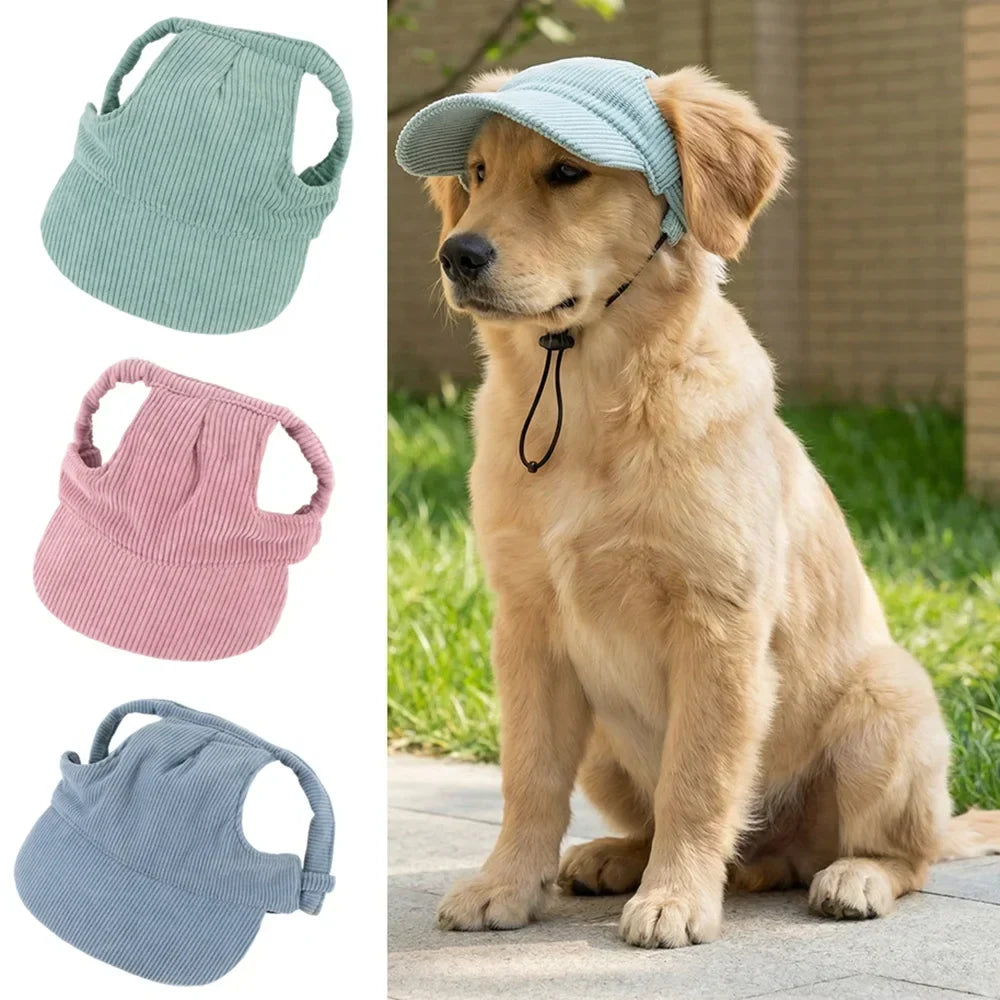 Casquette velours côtelé: le style pour votre grand chien