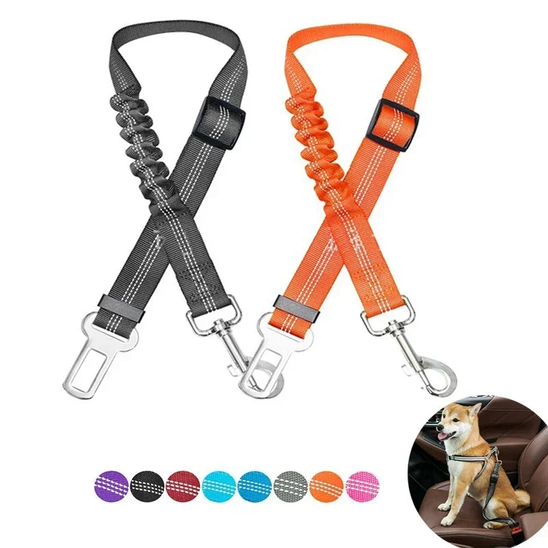 Ceinture de sécurité réfléchissante pour chien orange