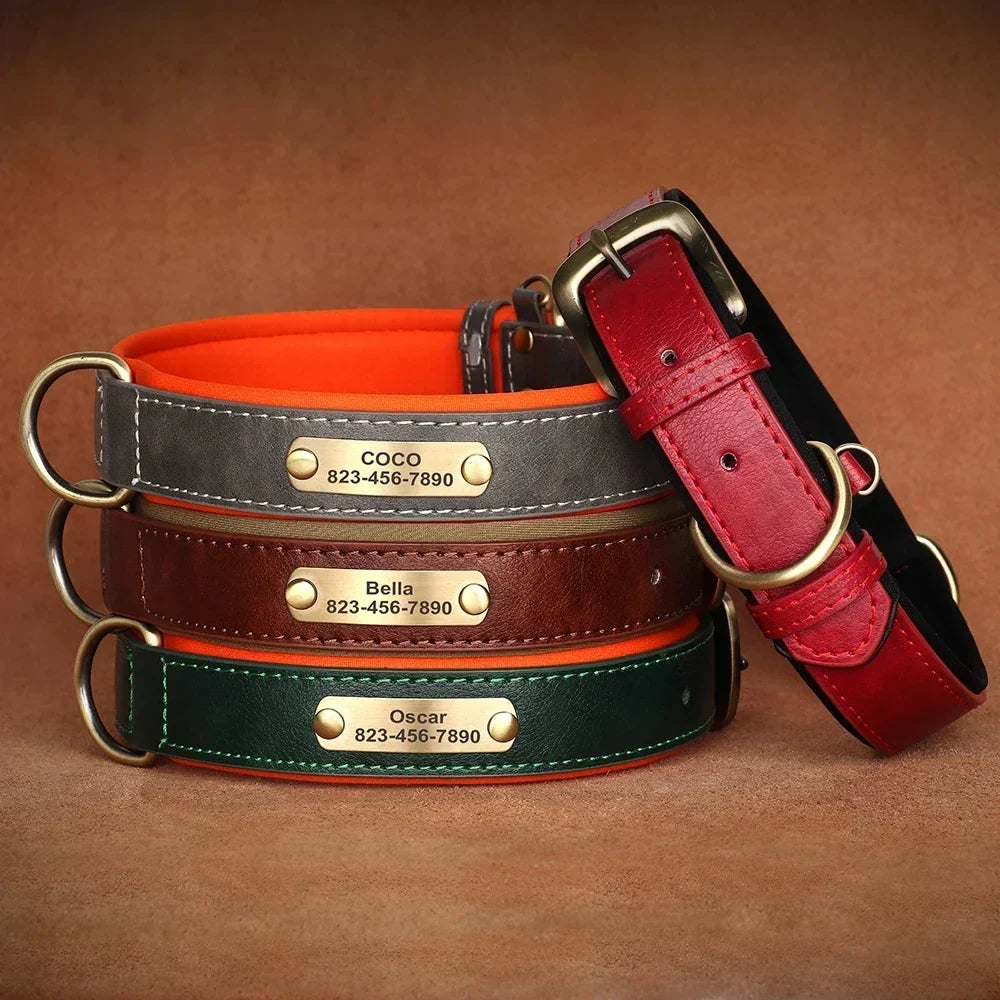 Collier cuir avec plaque pour Golden Retriever