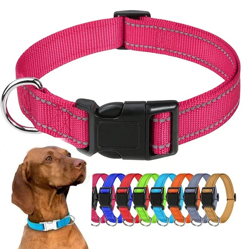 Collier ras du cou décoratif pour chiens et chiots