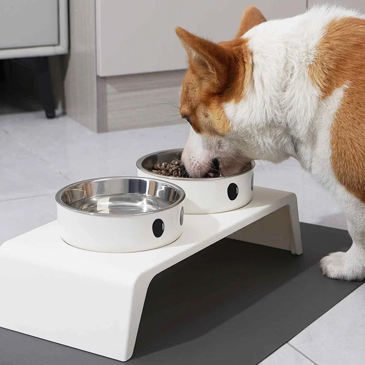 Gamelle surélevée inox pour chien: confort et hygiène