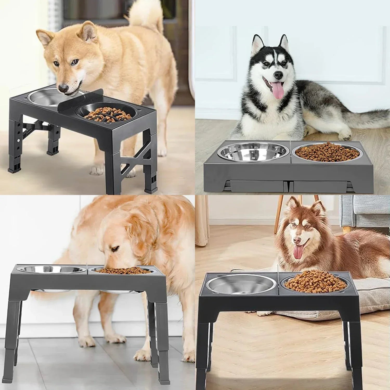 Gamelles surélevées ajustables: confort et santé pour votre chien