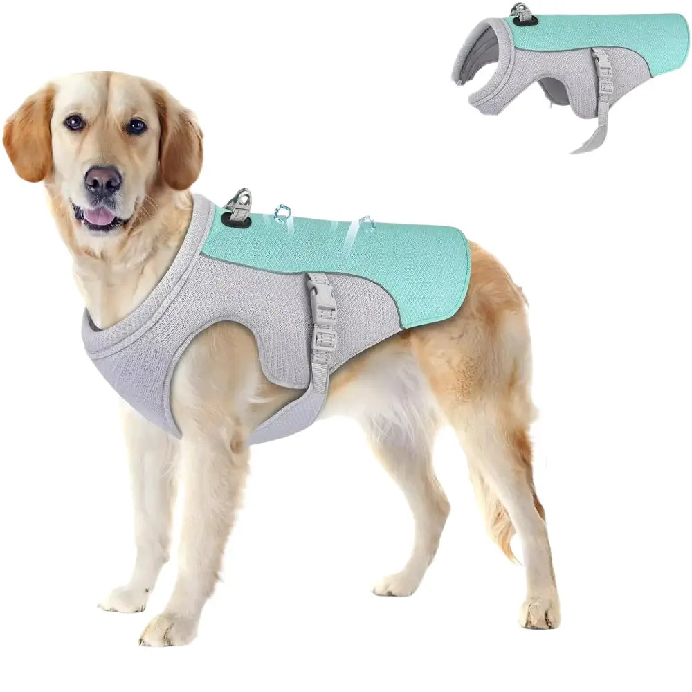 Gilet Rafraîchissant pour Chien: Confort Estival Garanti