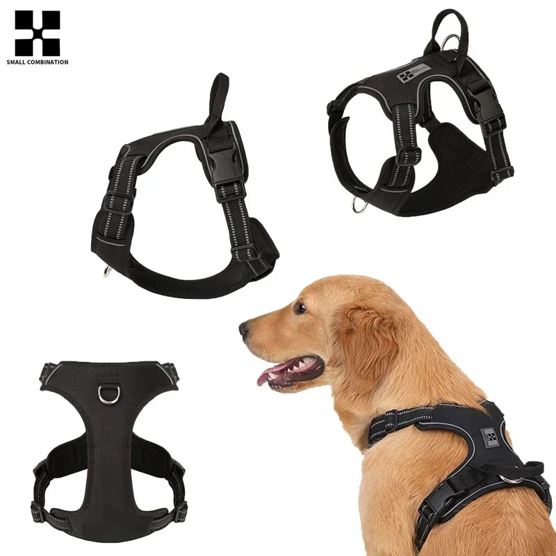 Harnais Anti-Traction: Guide Complet pour Chiens