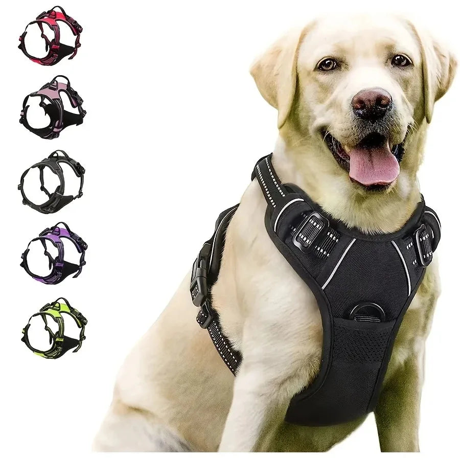 Harnais mesh noir et accessoires pour chiots