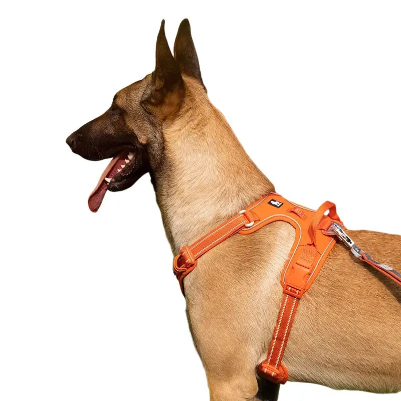 Harnais Truelove TLH5654: confort et sécurité pour votre chien