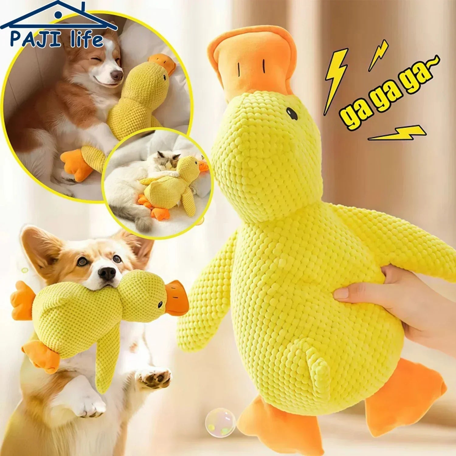 Jouets canard sonore: le préféré des chiens