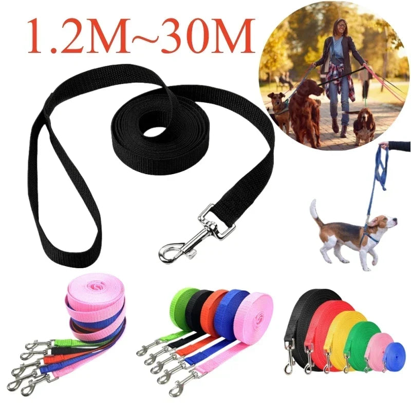 Laisse de dressage longue: guide complet pour chiens