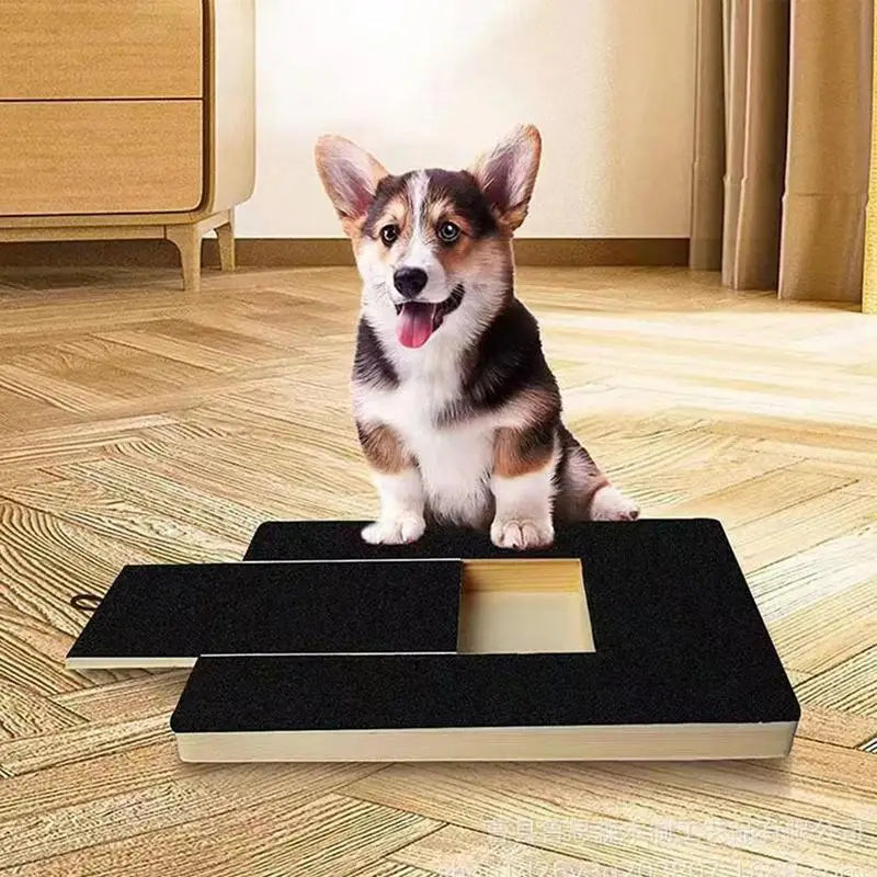 Planche à Gratter pour Chien avec Boîte à Friandises