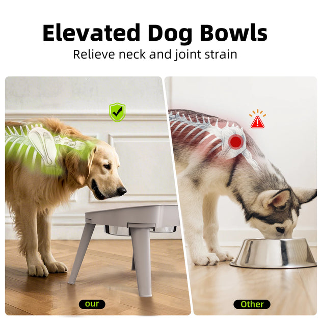 Gamelle Surélevée Chien Réglable, Mangeoire Anti-Dérapante Imperméable Pour Chien Et Chat – gamelle surélevée chien stable et pratique