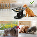 Bol pour Chats Élevé en Bois Noir - Bols en Acier Inoxydable pour un Confort Optimal, gamelle chat surélevée avec support élégant