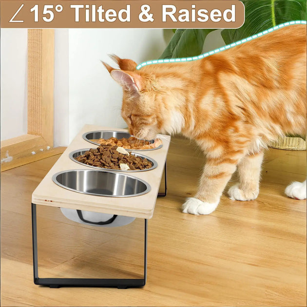 Gamelle surélevée pour chats : Confort et Santé améliorés pour votre compagnon, gamelle inclinée pour chat en acier inoxydable