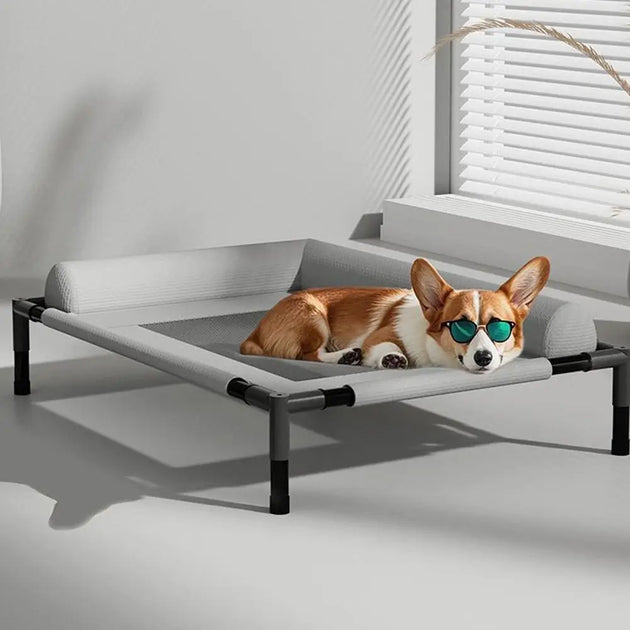Lit Chien Respirant Surélevé En Maille Avec Coussin Amovible, Lavable Pour Chien Et Chat, couchage surélevé avec toile mesh aérée