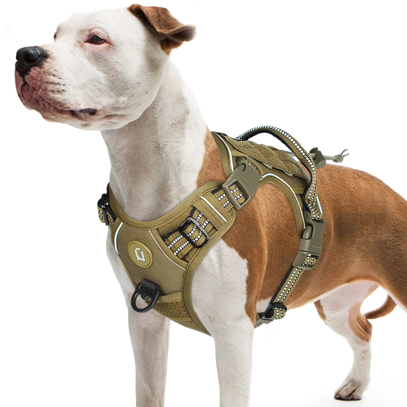 Harnais tactique pour chien olive MOLLE et réfléchissant
