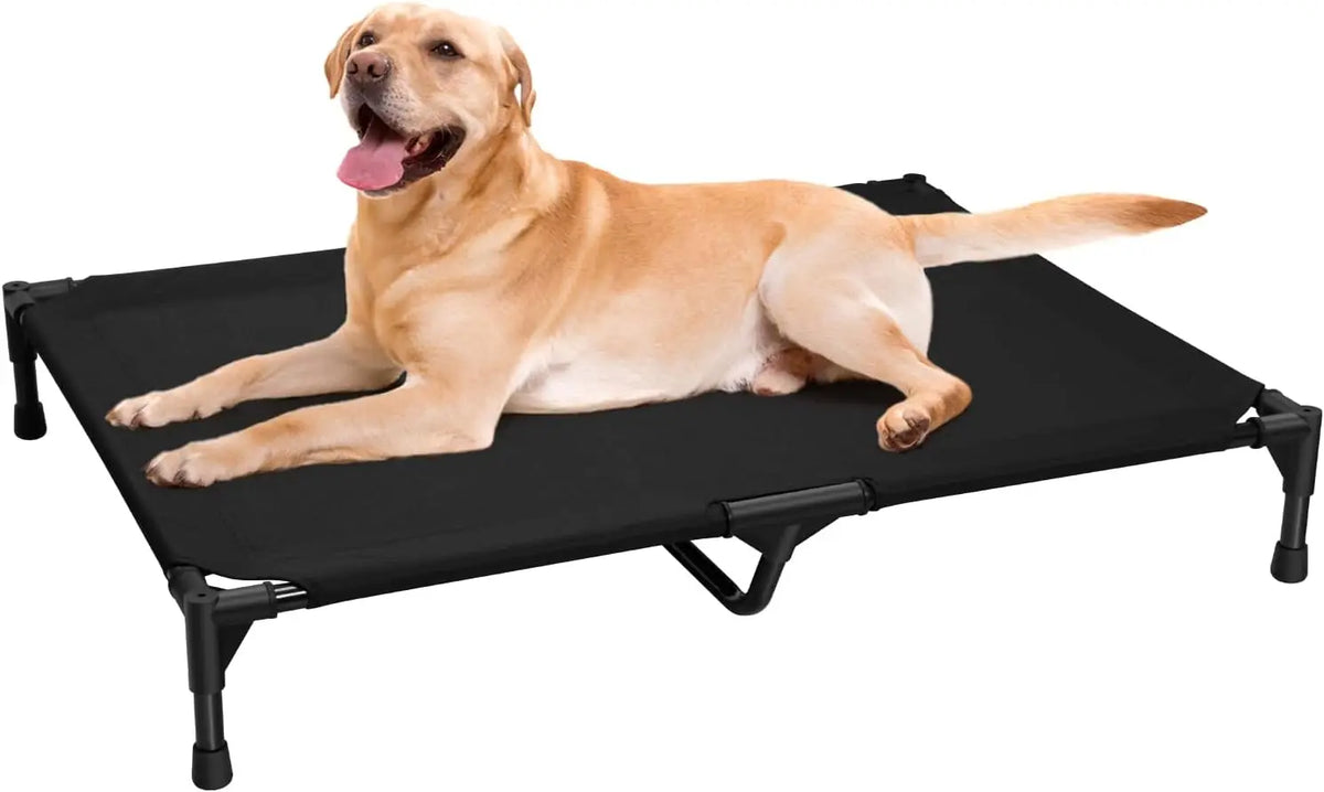 Lit Chien Surélevé Pour Chien Et Chat, Cadre Métal, Coton 100 %, Couchage Rafraîchissant – vue du lit chien surélevé Love&go