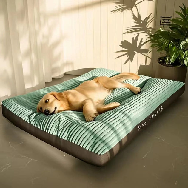 Panier Chien Lavable En Corduroy Douillet, Coussin Épais Pour Petit À Grand Chien, panier chien lavable avec rebords moelleux