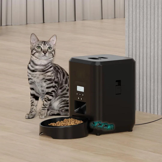 Distributeur Automatique de Nourriture pour Chiens et Chats - ZYfeeder, distributeur automatique croquettes avec écran LCD intuitif
