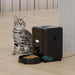Distributeur Automatique de Nourriture pour Chiens et Chats - ZYfeeder, distributeur automatique croquettes avec écran LCD intuitif
