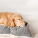 Panier Chien Grande Taille 120x60 cm, Lit Douillet Réversible Épais Et Lavable adapté aux grands chiens