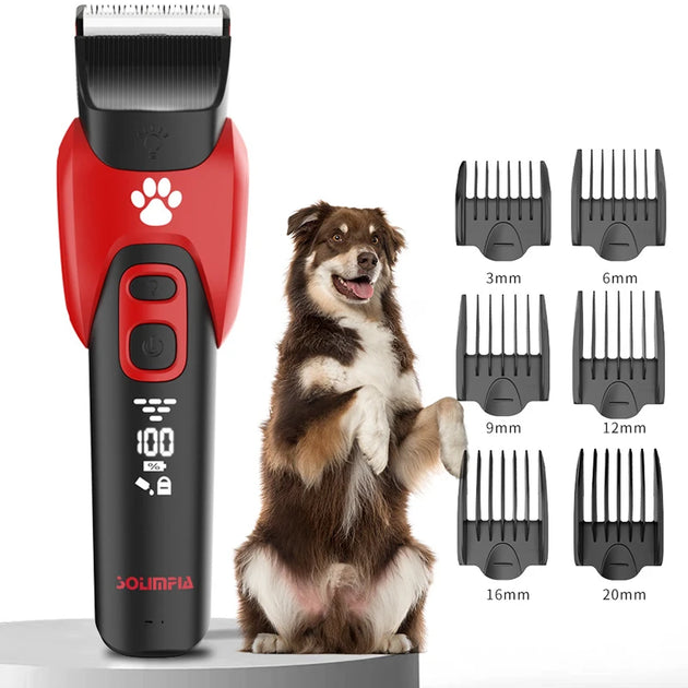 Tondeuse Professionnelle pour Animaux - Coupez le Pelage de Votre Compagnon en Toute Simplicité, tondeuse toilettage chien avec lames en titane et céramique