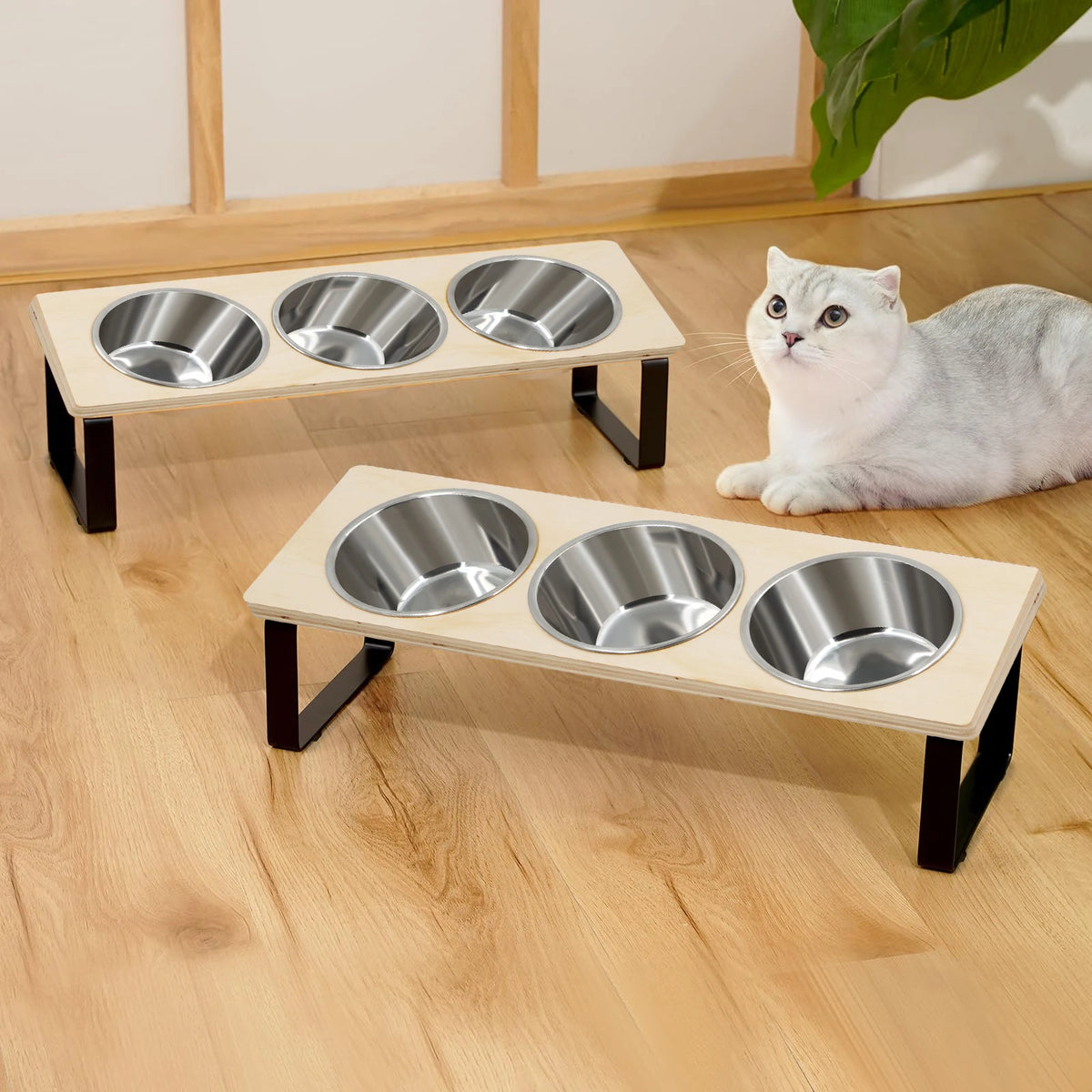 Gamelle surélevée pour chats : Confort et Santé améliorés pour votre compagnon, gamelle inclinée pour chat avec structure robuste et anti-renversement