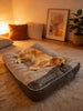 Grand Panier Chien Pour Grande Race, Lit Sofa Épais Lavable En Machine, Extra Large – grand panier chien style canapé pour chien et chat