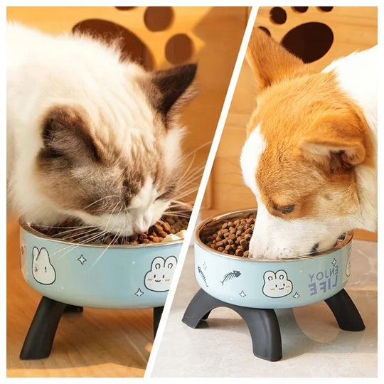 Bol pour animaux en acier inoxydable – Design Élevé Anti-Renversement avec Base en Silicone Antidérapante, gamelle inox chien au design élégant