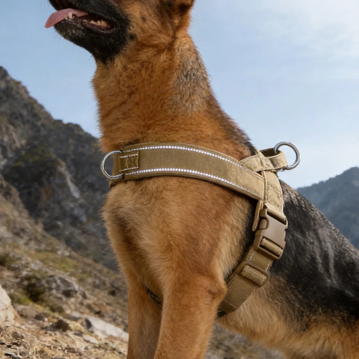 Harnais tactique réfléchissant anti-traction pour grand chien