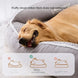 Panier Chien Chaud Pour Chien Et Chat, Lit Douillet En Velours Côtelé Lavable, détail du tissu en velours côtelé doux