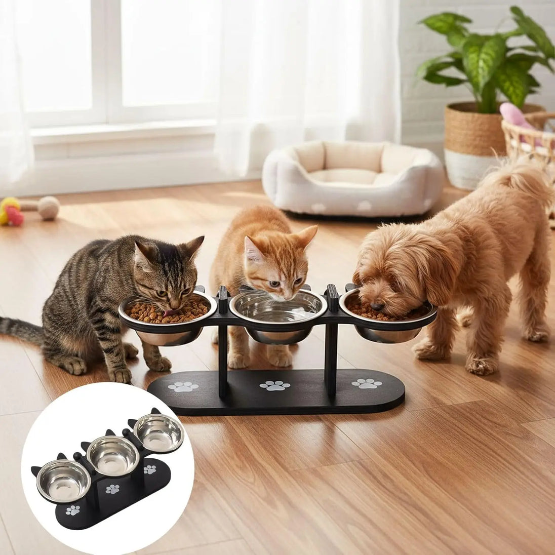 Bol pour Chats Élevé en Bois Noir - Bols en Acier Inoxydable pour un Confort Optimal, gamelle chat surélevée adaptée aux chats de toutes tailles