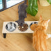 Gamelle surélevée pour chats : Confort et Santé améliorés pour votre compagnon, gamelle inclinée pour chat avec angle de 15 degrés