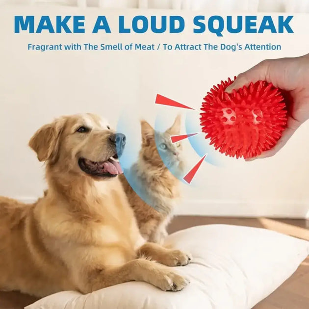 Balle Épineuse Couinante pour Chien et Nettoyage des Dents - Jouet grinçant pour chien
