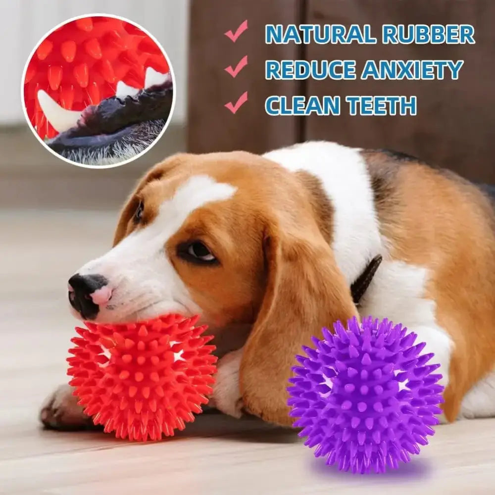 Balle Épineuse Couinante pour Chien et Nettoyage des Dents - Jouet grinçant pour chien