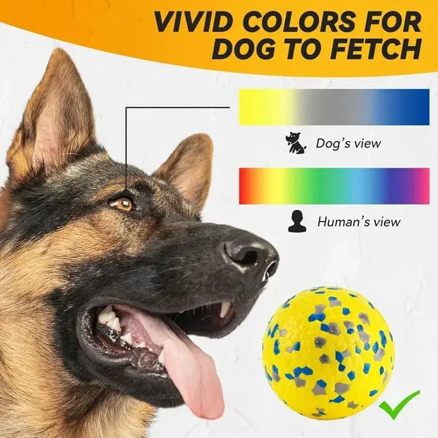 Balle pour chien en E TPU résistante aux morsures - Jouets pour chien