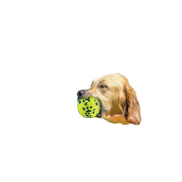 Balle pour chien en E TPU résistante aux morsures - Jouets pour chien