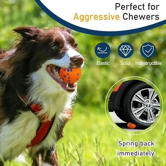 Balle pour chien en E TPU résistante aux morsures - Jouets pour chien