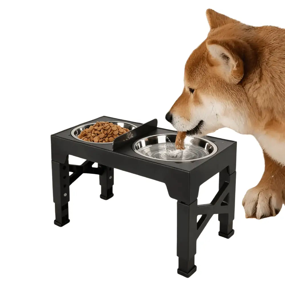 Bol de nourriture en acier inoxydable avec séparation humide pour chien - Mangeoire pour chien