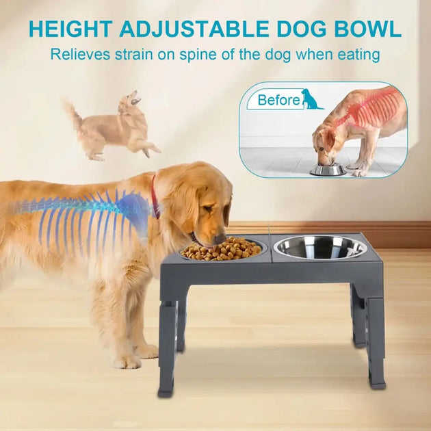 Bol de nourriture en acier inoxydable avec séparation humide pour chien - Mangeoire pour chien