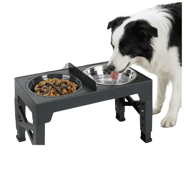 Bol de nourriture en acier inoxydable avec séparation humide pour chien - Mangeoire pour chien