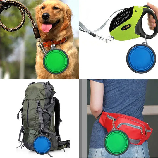 Bol silicone pliable chien avec mousqueton – Bleu - Filles d’eau pliable pour animaux de compagnie