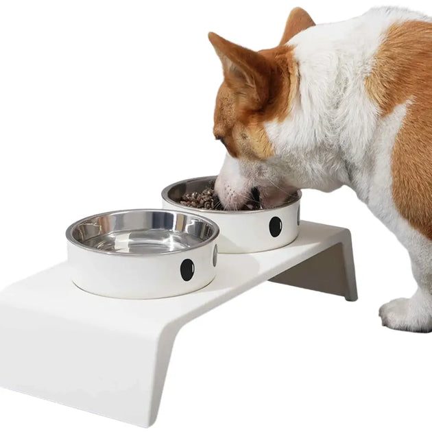 Bol surélevé pour mangeoire pour chien avec gamelles inox - Bol surélevé pour mangeoire pour chien