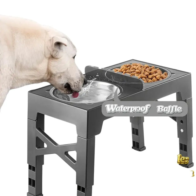 Bol surélevé réglable pour chien avec gamelles inox - Bol surélevé réglable pour chien