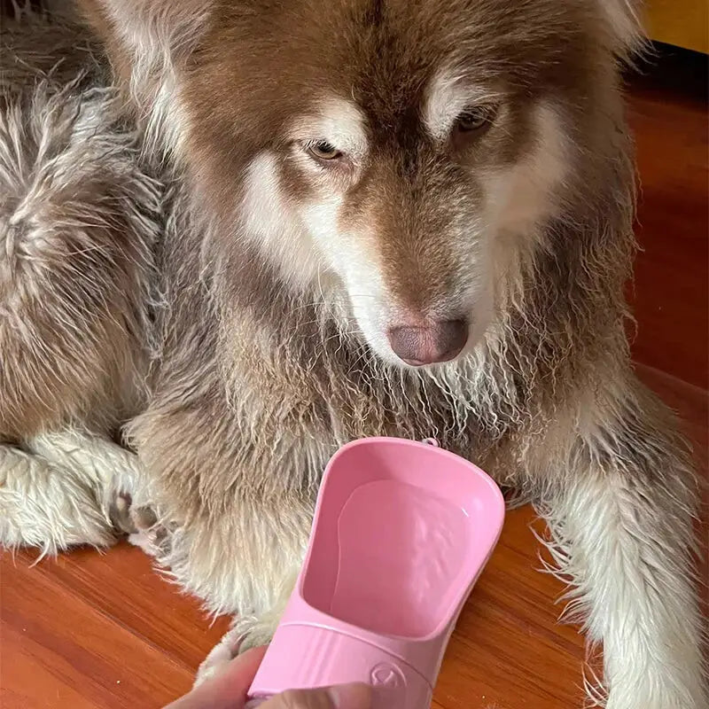 Bouteille d’eau 2 en 1 portable pour chien et chat avec socle - Bouteille d’eaux portable avec récipient alimentaire