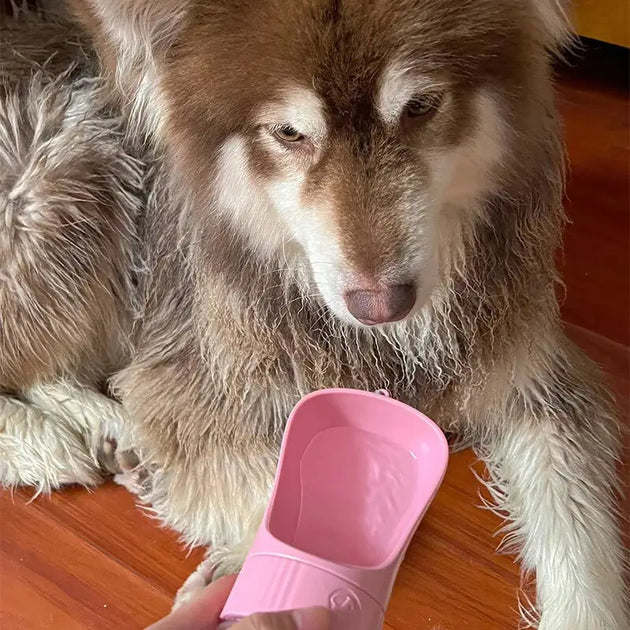 Bouteille d’eau 2 en 1 portable pour chien et chat avec socle - Bouteille d’eaux portable avec récipient alimentaire