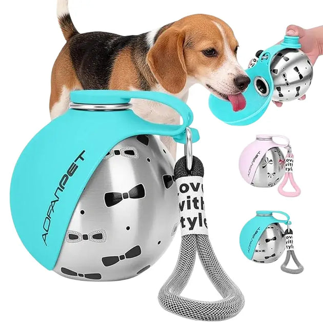 Bouteille d’eau portable en inox turquoise avec motif papillon - Bouteille d’eaux portable pour chien