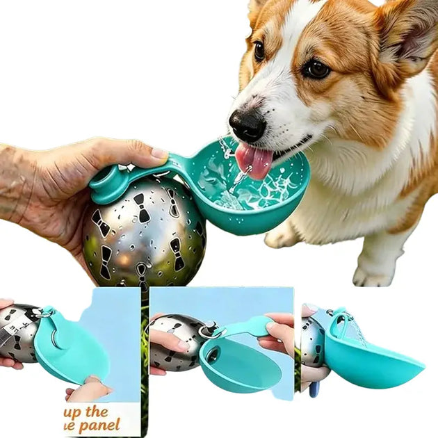 Bouteille d’eau portable en inox turquoise avec motif papillon - Bouteille d’eaux portable pour chien